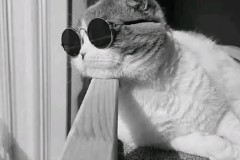 英超前瞻：伯恩茅斯VS西汉姆联，战术解析与比赛预测